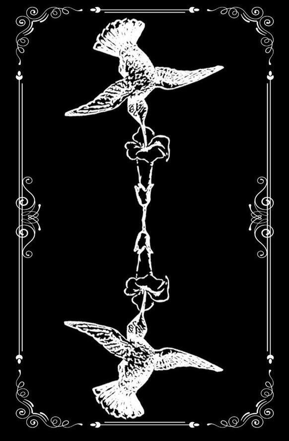 Stencil drawing of two humming birds with their beaks inside trumpet flowers on a black background with a white filigree border